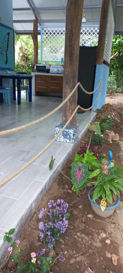 Casa Katharina Villa *